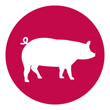 Pork Allergen