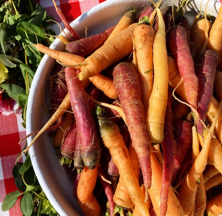 NC State Dining Hosts Annual Farm Feast to Promote Locally-Grown Food ...